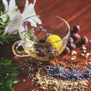 Why there is no herbal medicine approved by FDA?